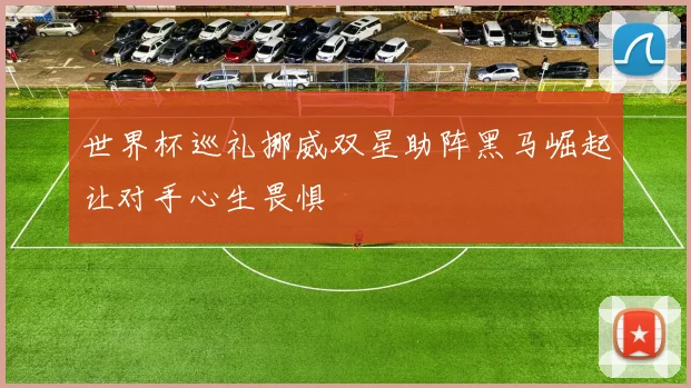 世界杯巡礼挪威双星助阵黑马崛起让对手心生畏惧